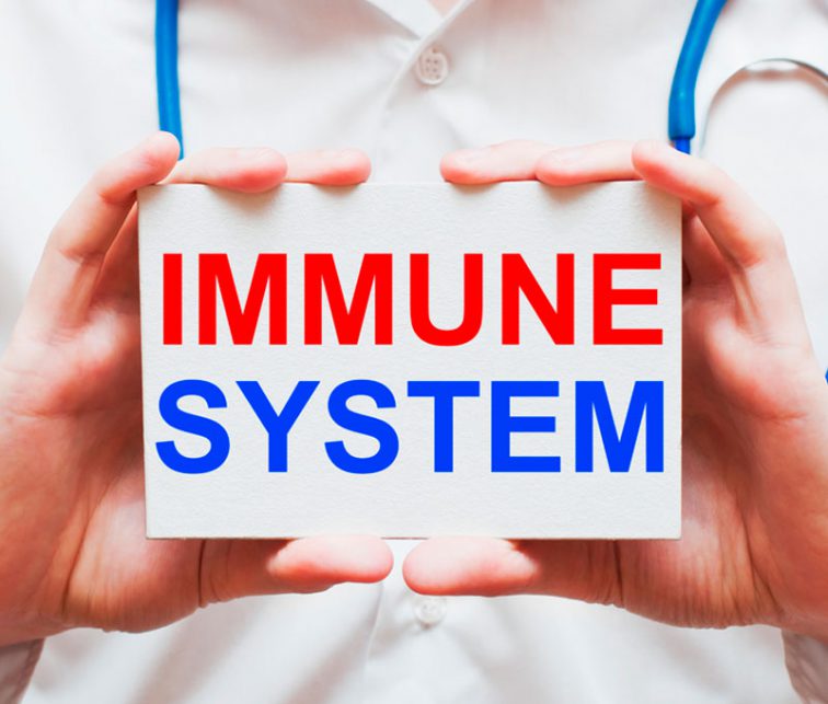 sistema inmune