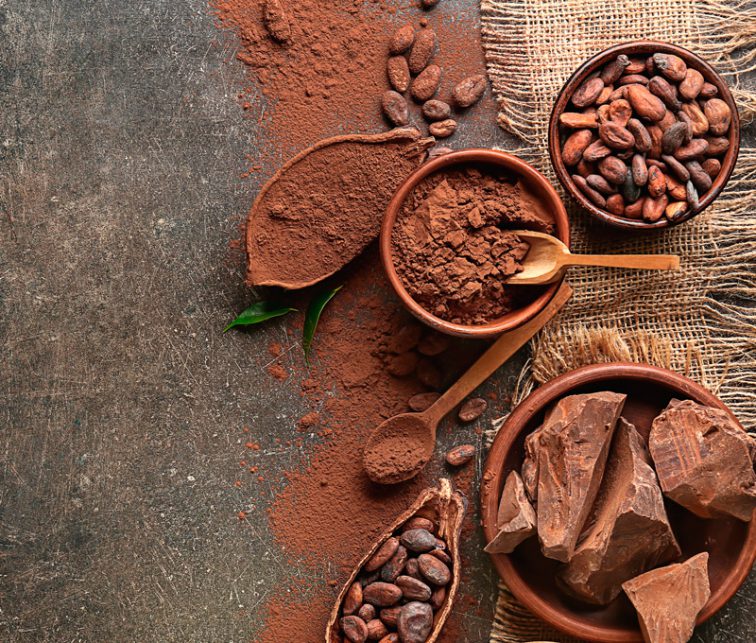 la evolucion del chocolate ecuatoriano