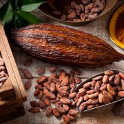 el exotico mundo de la cocina con cacao