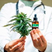 mitos y verdades del cannabis medicinal
