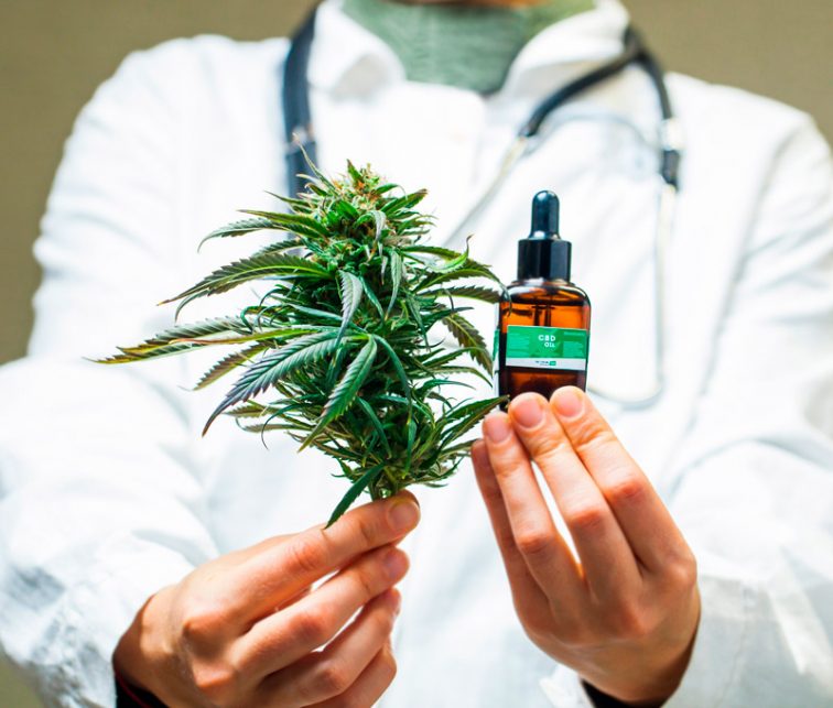 mitos y verdades del cannabis medicinal