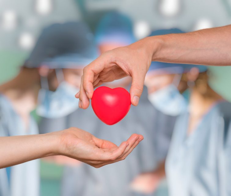 la importancia de la donacion de organos