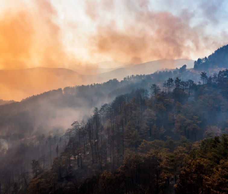 cuidar la salud del humo por incendios